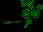 Razer Mamba