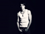 Ian Somerhalder
