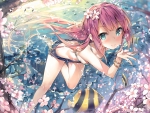 Cherry Blossom under the Water