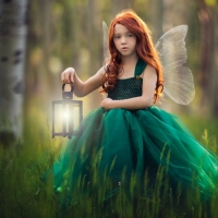 Cute Fairy