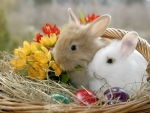 Easter Bunnies