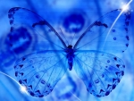 BLUE BUTTERFLY