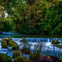 Water Cascades in Green Forest