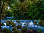 Water Cascades in Green Forest