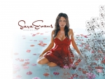 Sara Evans - Curvy country singer