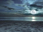 BEACH MOON