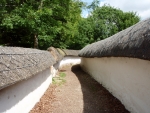 Thatched Walls