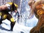 Wolverine VS Sabertooth