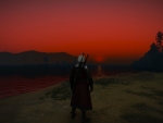 Witcher staring off into the sunset