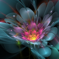 Fractal Flower