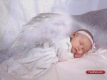 Little Angel