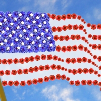 Memorial & Veterans Day Poppies Remembrance Flag
