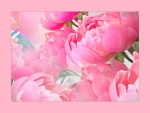 ~Peony~