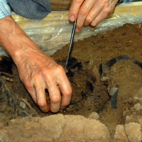 ARHEOLOG ARCHAEOLOGIST