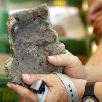 ARHEOLOG ARCHAEOLOGIST