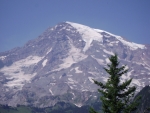 Mt. Rainier