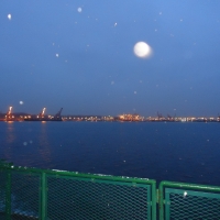 Snow Flurries by Seattle