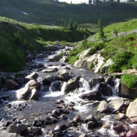 Mt. Rainier Runoff Stream