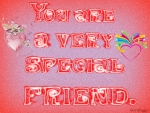 SPECIAL FRIEND