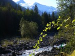 Glacier Creek and Mount Baker