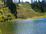 Pond at Heather Meadows