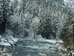 Wenatchee River in Winter