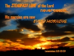 Steadfast Love