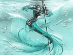 Mermaid Warrior