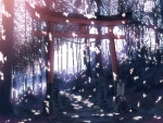 Torii Gate