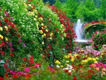 Beautiful garden!