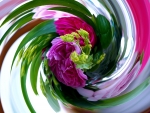 Swirling flowers