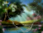 ~*~ Rain Drops Heart ~*~
