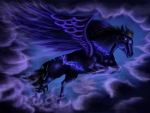 Pegasus Midnight