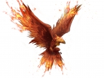The Phoenix