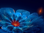 blue flower
