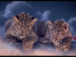 Cartier Leopard Cubs