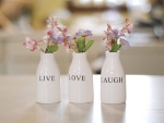 Live ~ Love ~ Laugh