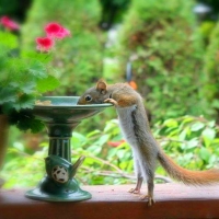 Hydration is important