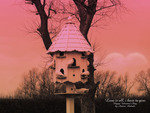 Bird House