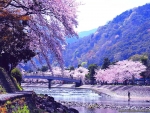 Japanese Spring