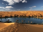 oasis libyan desert