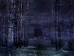 Dark Forest in Fog