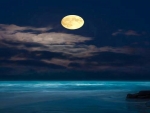 Full Moon Night