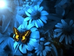 Butterfly on Blue