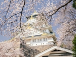 Osaka Castle