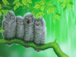 Owl Family in Peace