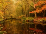 Autumn Pond