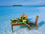 Sumptuous meal in the sea!