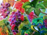 GRAPE ART