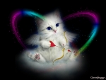 CUPID KITTY